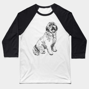 labradoodle portrait Baseball T-Shirt